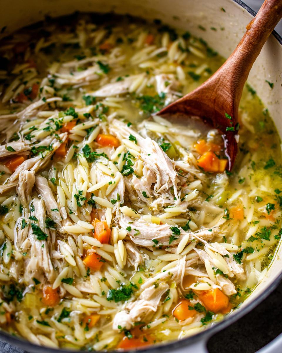 Lemon Chicken Orzo Soup - detail 1